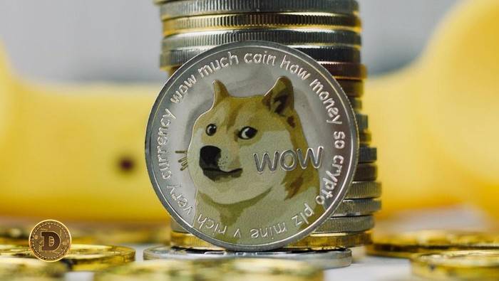 [DOGE/IDR] Harga Dogecoin ke Rupiah Hari Ini, dan Wallet di Indonesia
